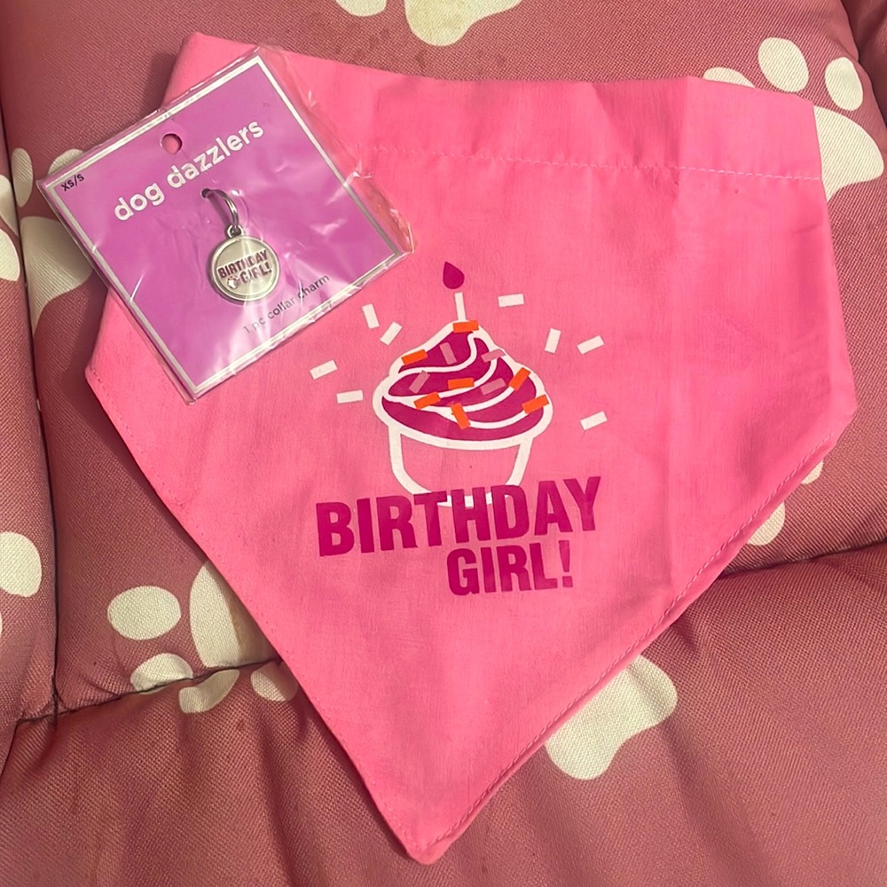 Birthday girl accessories